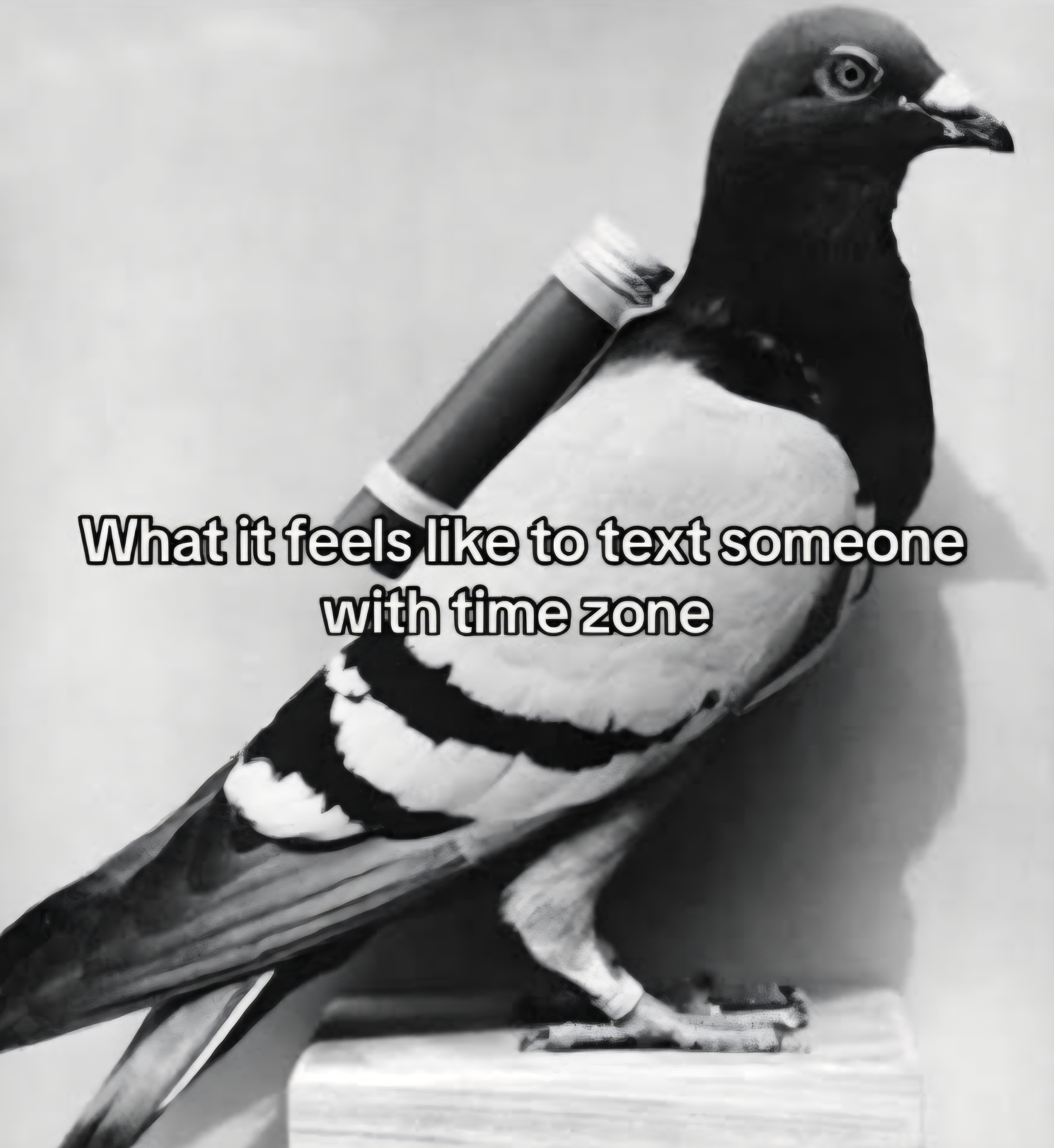 9731