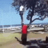 Black kid standing on head black kid