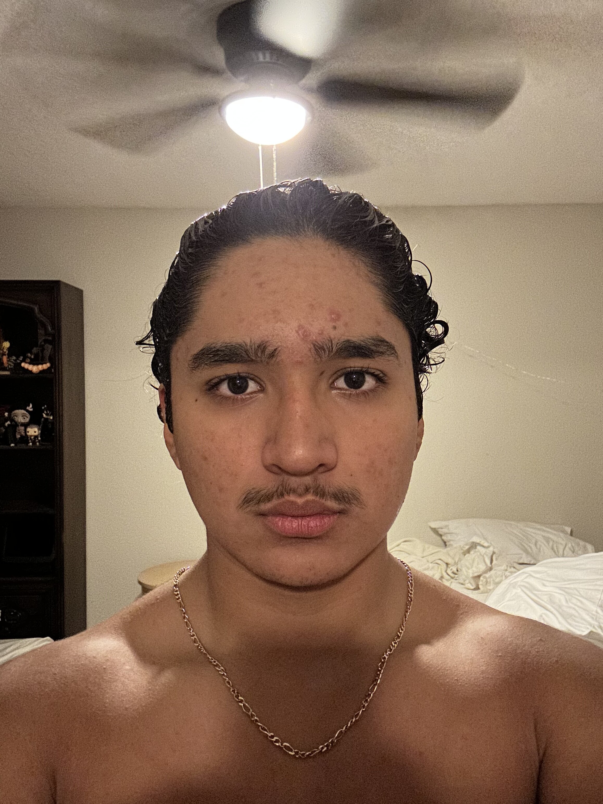 IMG 1746
