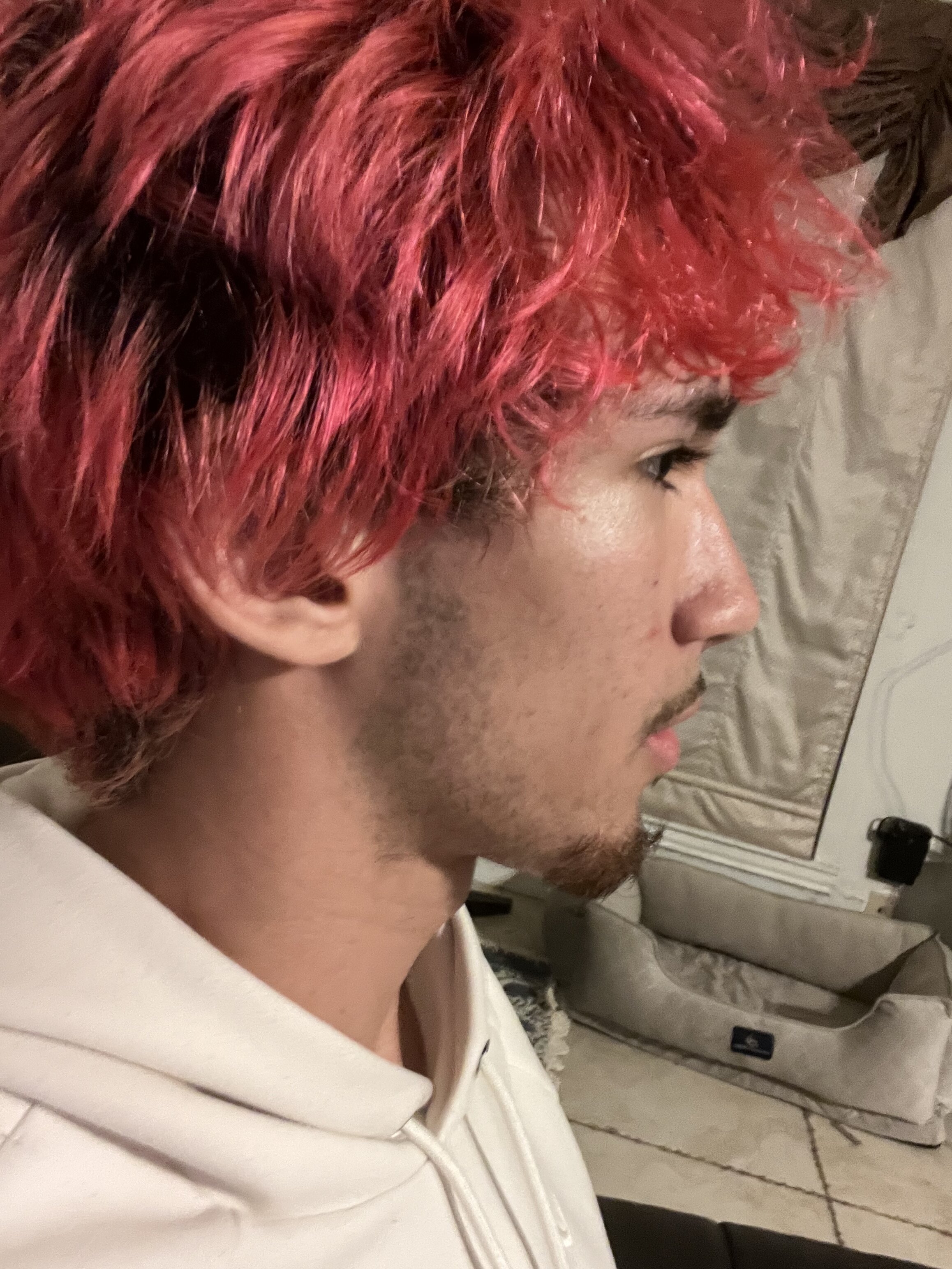 IMG 2551