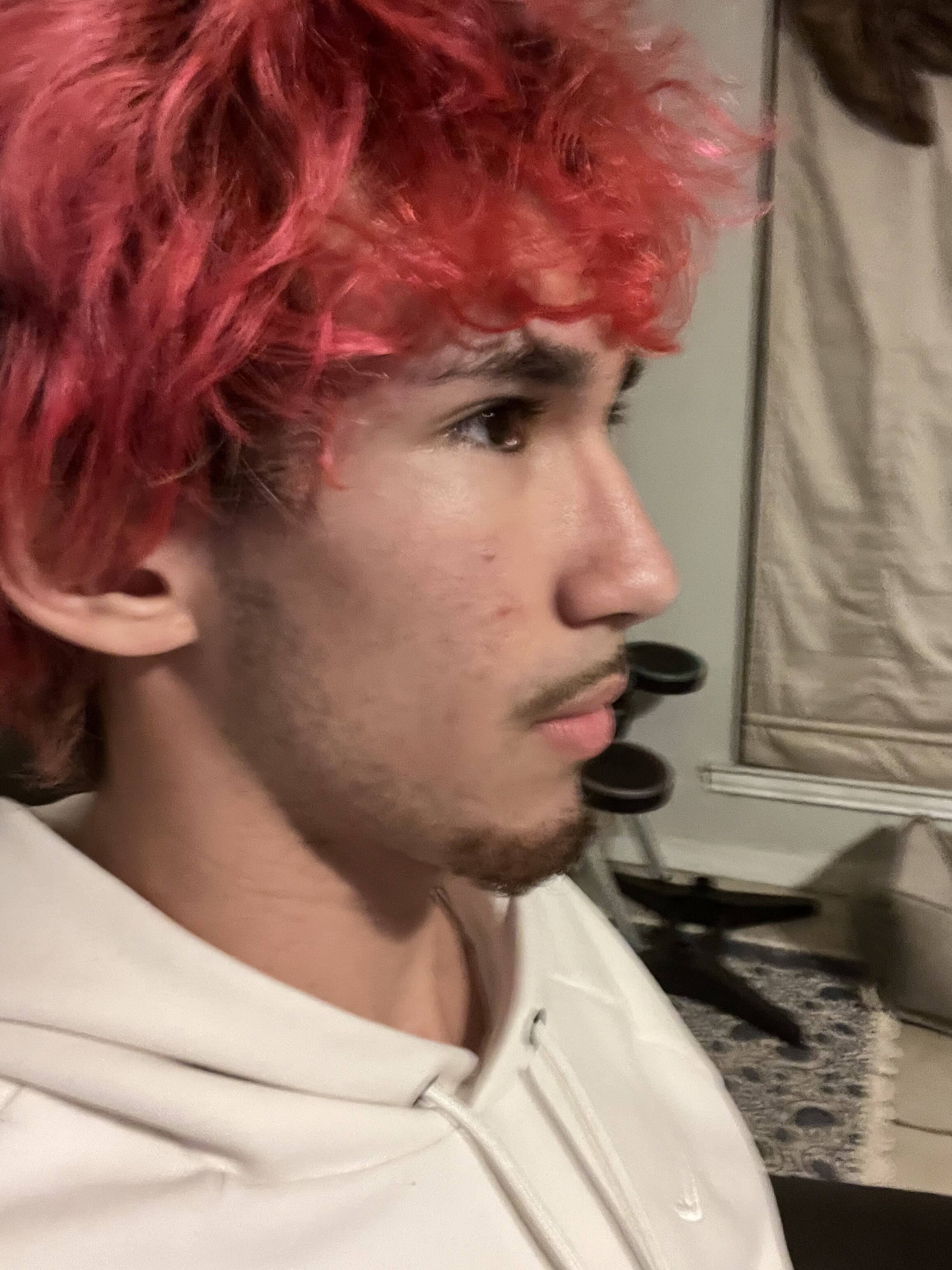IMG 2552