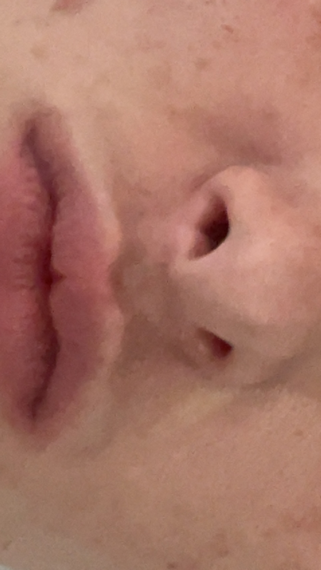 IMG 2232