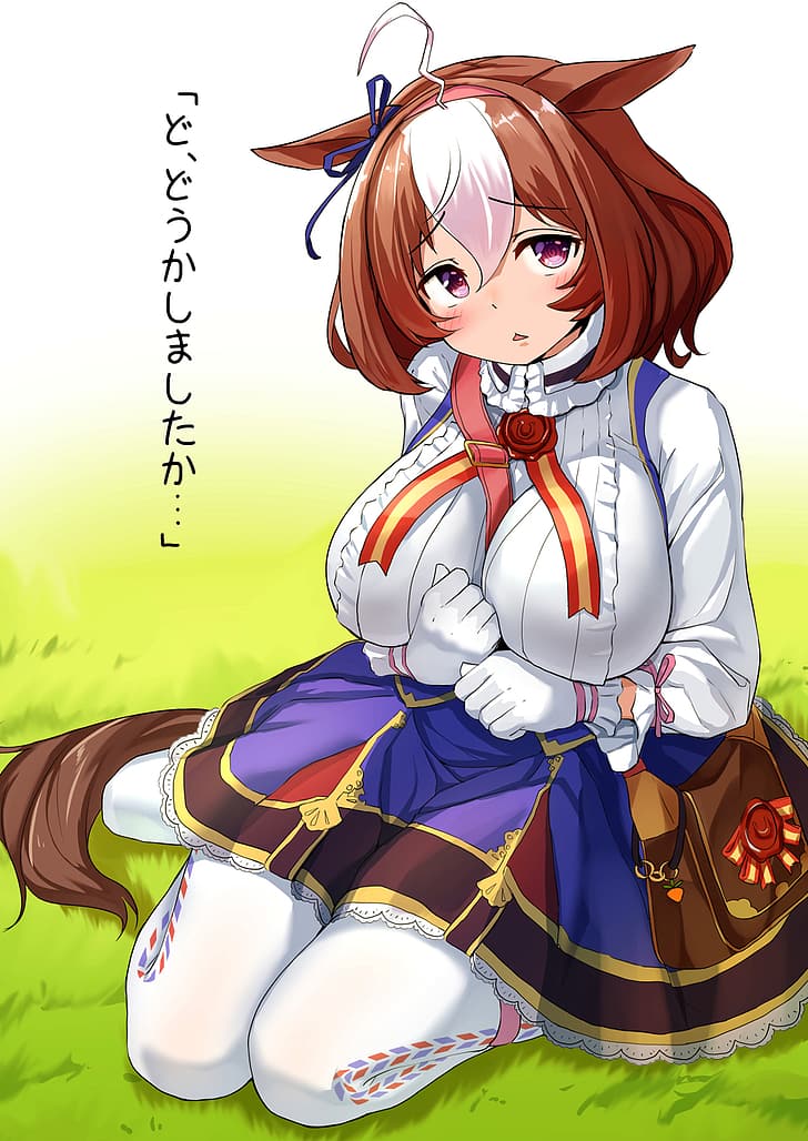Big boobs boobs anime anime girls uma musume pretty derby hd wallpaper preview
