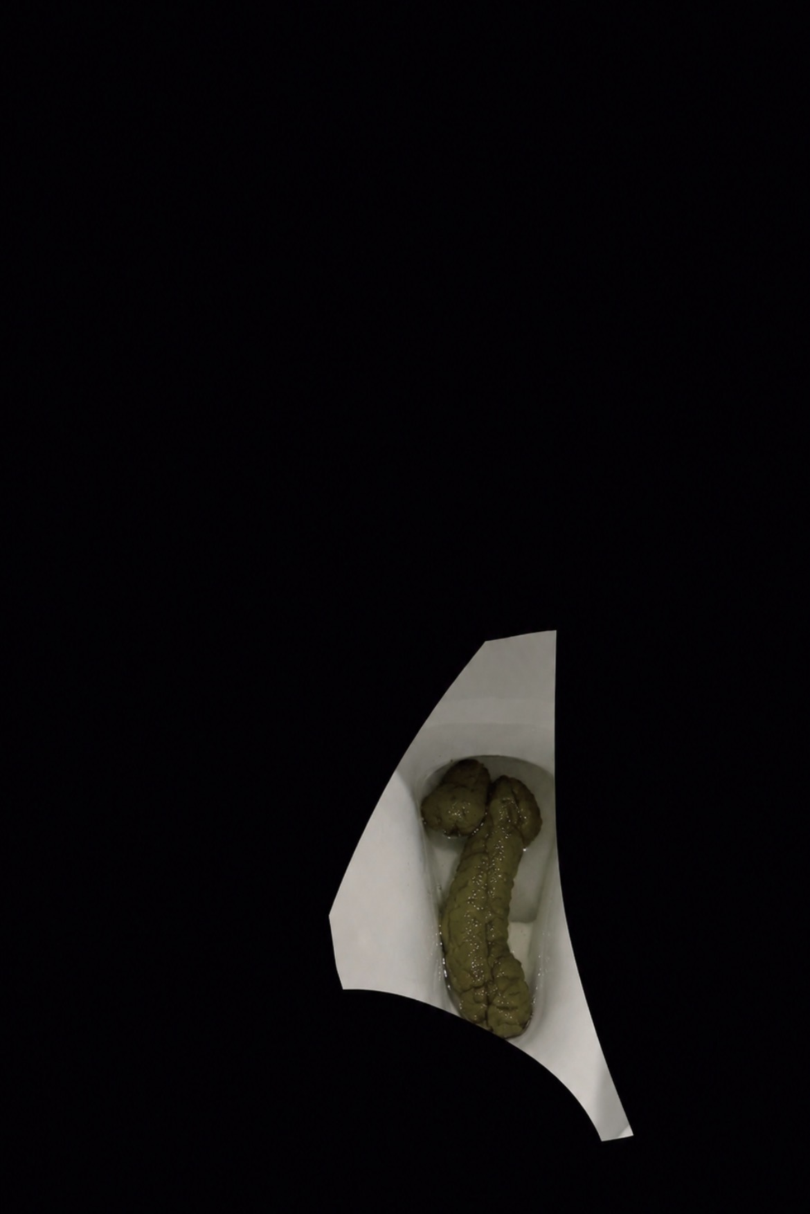 IMG 2128