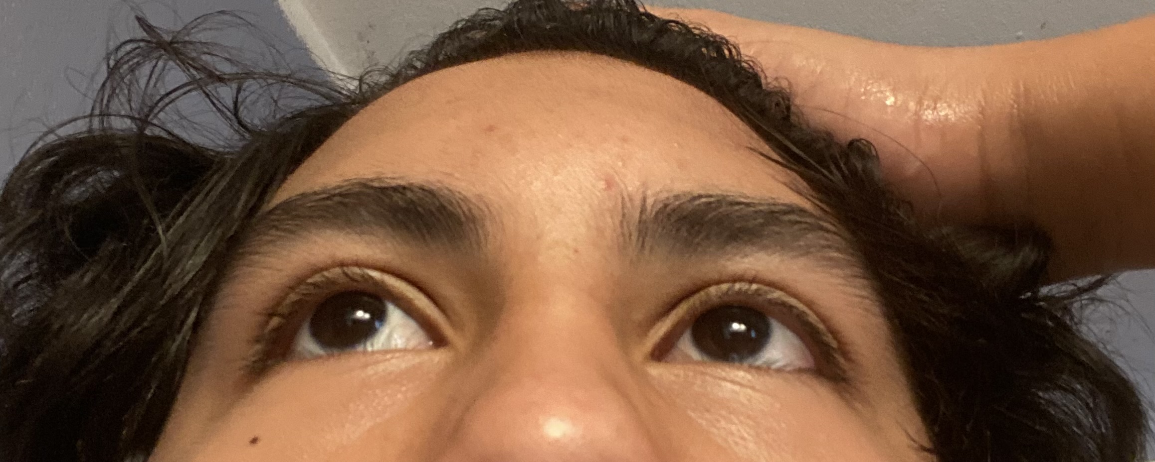 IMG 1702