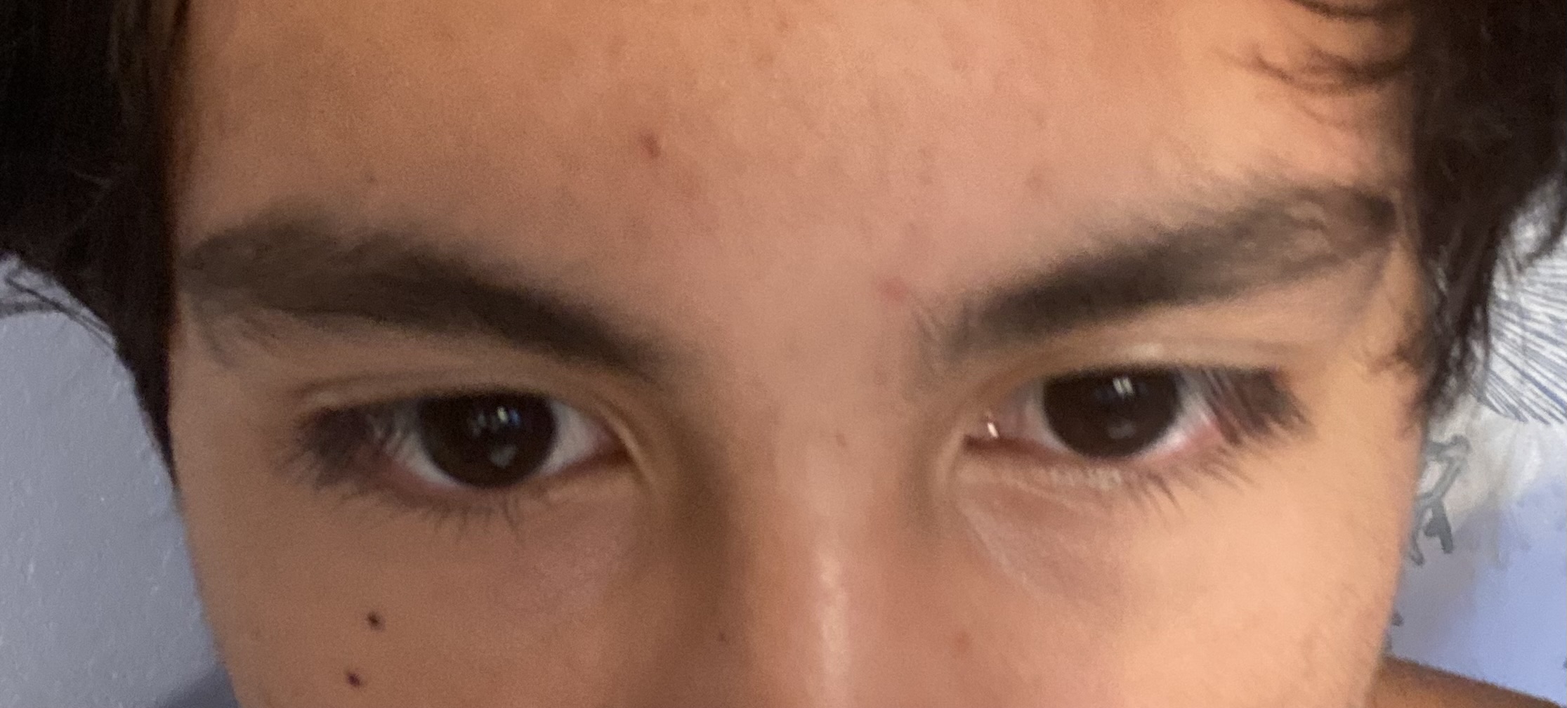 IMG 1703
