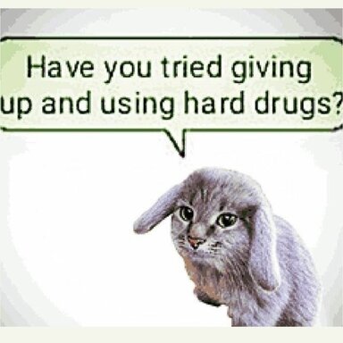 Do drugs