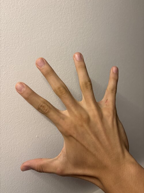 image.jpg