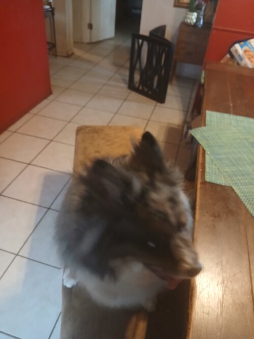 20260630_161604.jpg