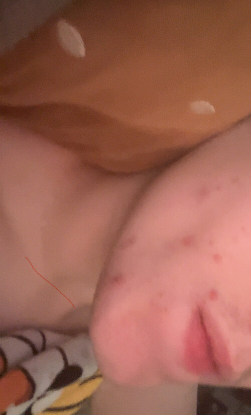 IMG_8505.jpeg