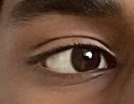 IMG_4254.jpeg
