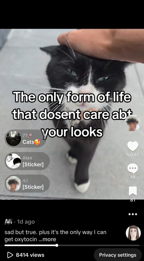 Screenshot_20260702_013310_TikTok.jpg