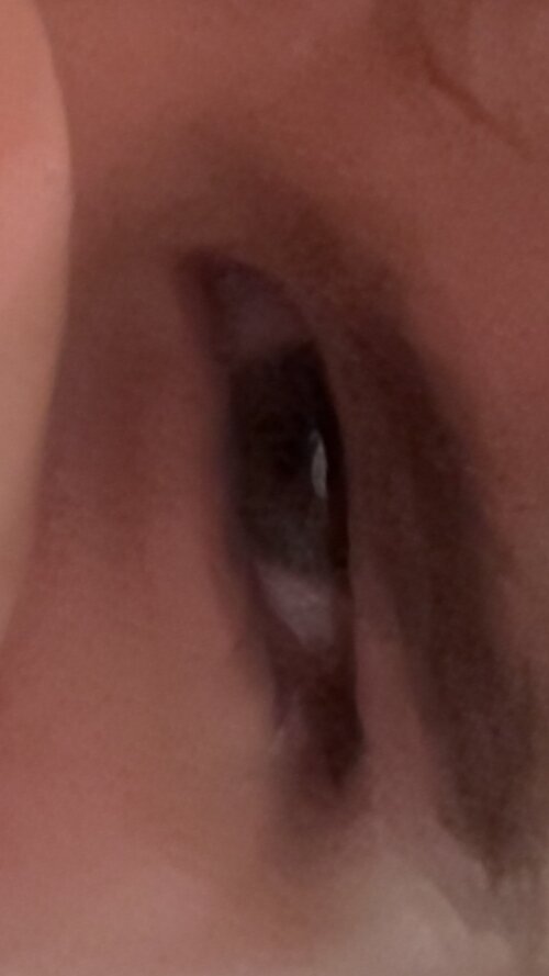 IMG_2357.jpeg