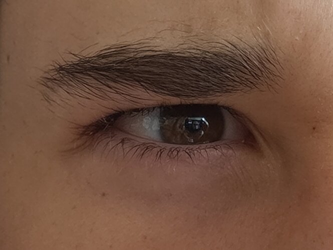 IMG 20260702 104944