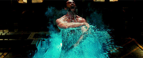 IMG_1331.gif