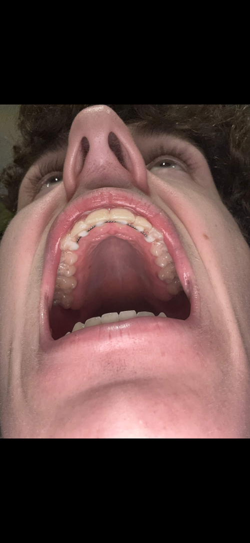 IMG_4565.png