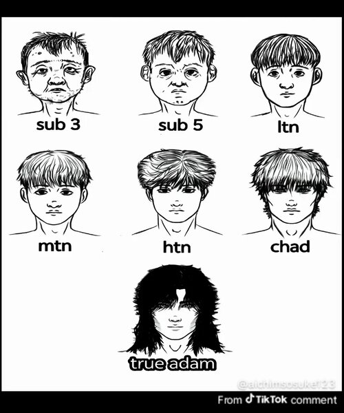 1783227846927.jpg