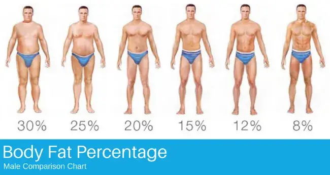 Body+Fat+Percentage.webp