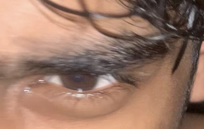 IMG_4498.jpeg