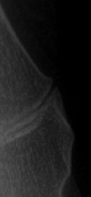 IMG_1051.jpeg