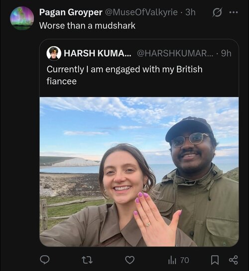 IMG_3387.jpeg