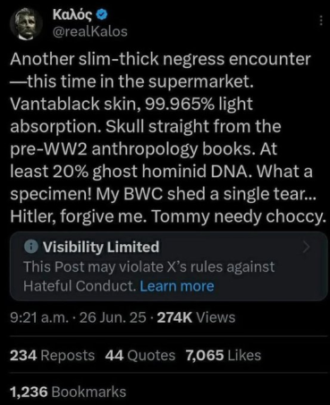 negress.webp