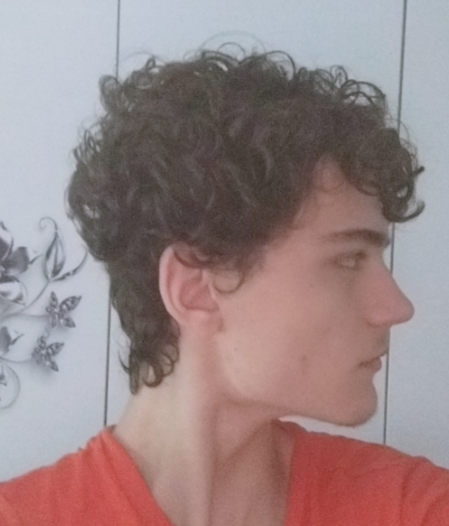 Screenshot_20260708-175202_TikTok.png