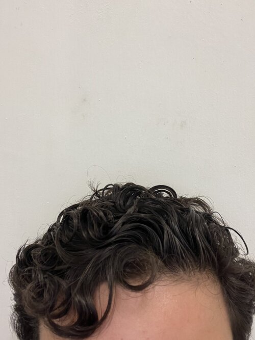 IMG 2079