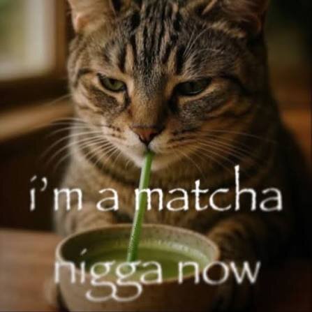 images (10).jpeg