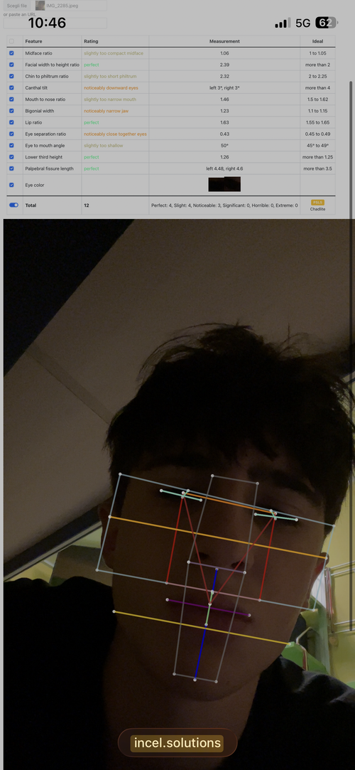 IMG_0562.png