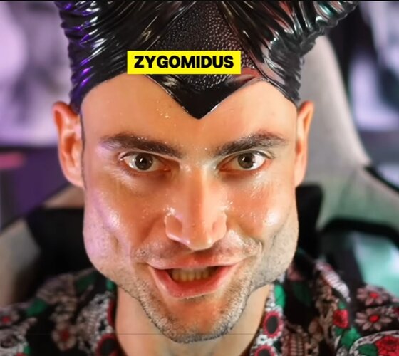 Zygomidus