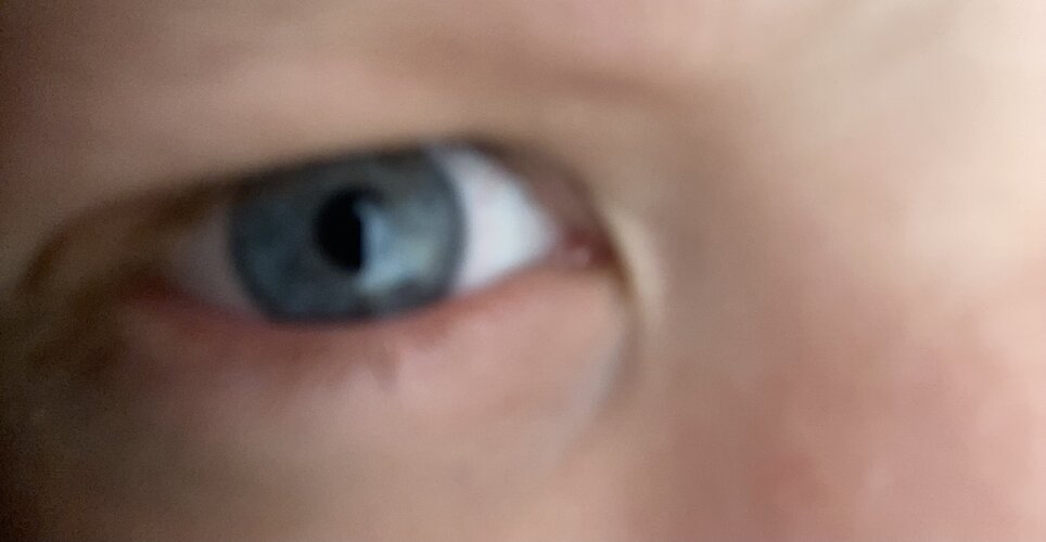 IMG_2963.jpeg