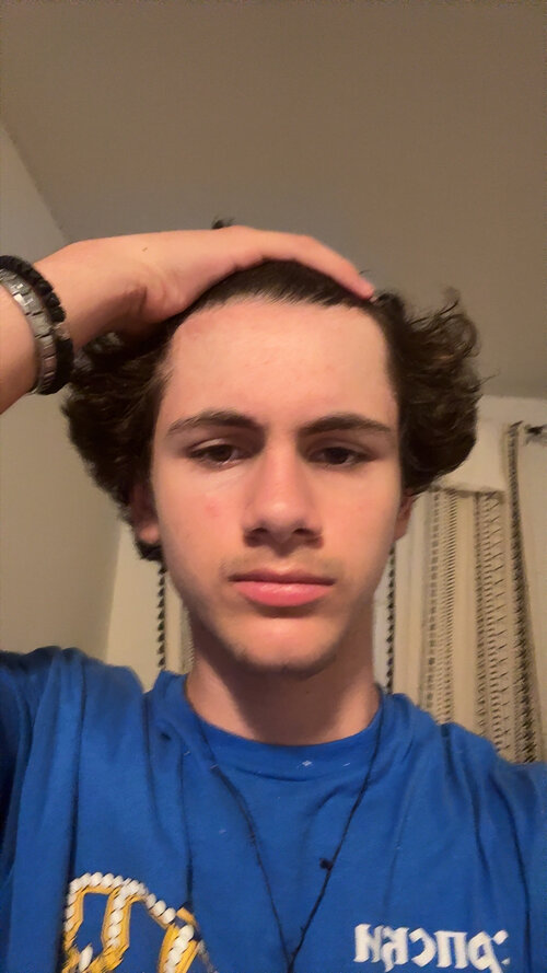 IMG 3520