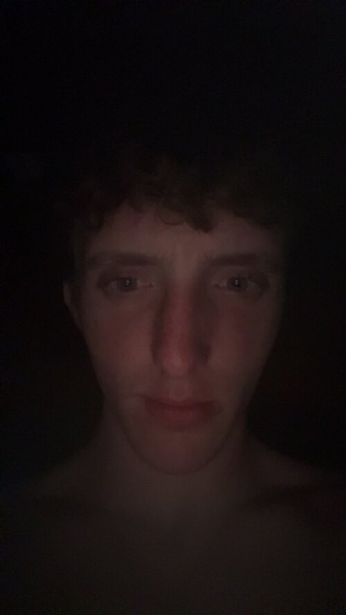 IMG 1239