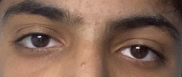IMG_2143.jpeg