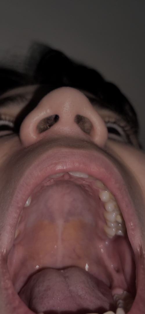 IMG_0055.png