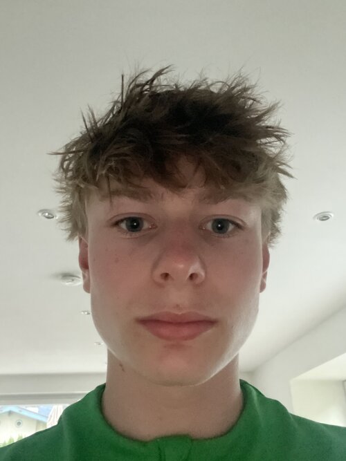 image.jpg