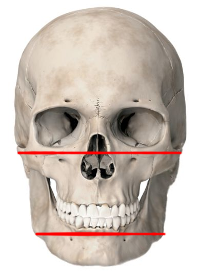 Без названия309_20260718062028.png