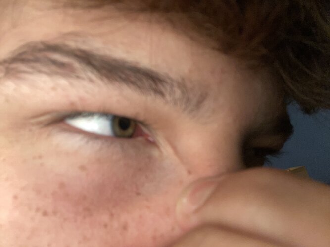 image.jpg