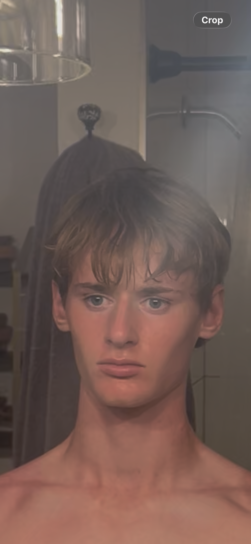 a1.PNG