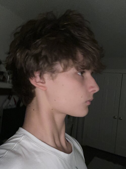 image.jpg