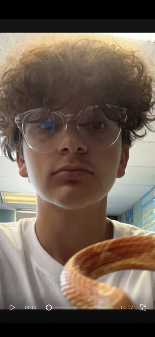 IMG_6859.png