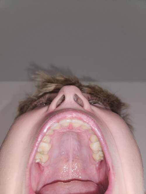 20260722_101101.jpg