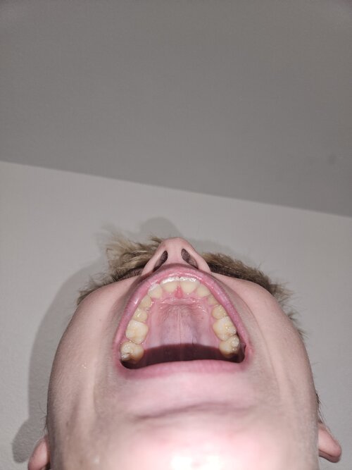 20260722_101120.jpg
