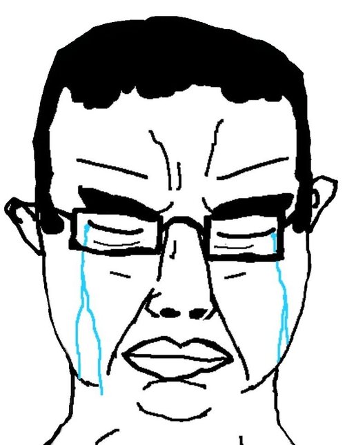 soyjak cries.jpg