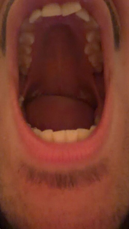 IMG_6757.jpeg