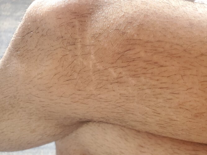 20260722_181701.jpg