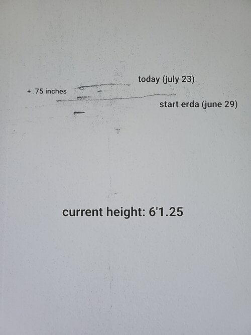 20260723_153212.jpg