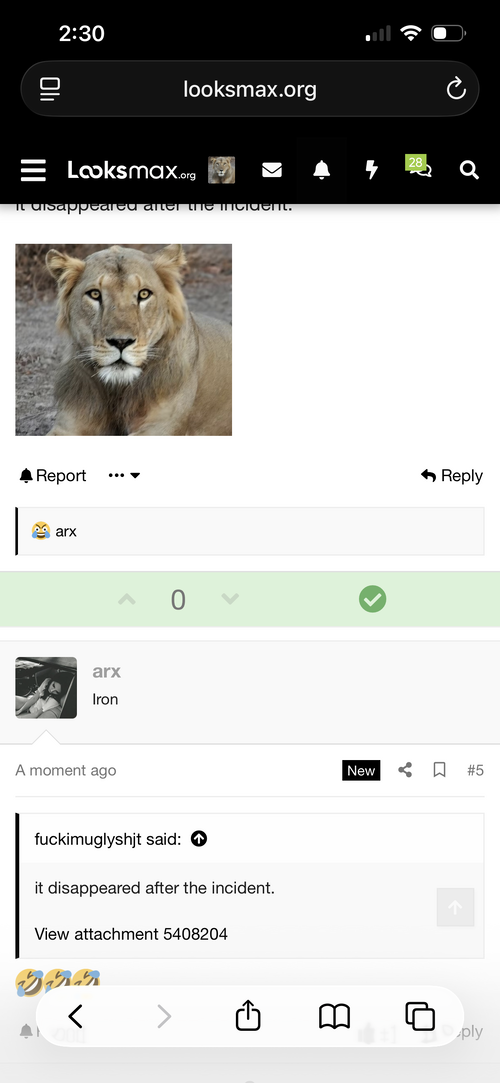 IMG_1328.png