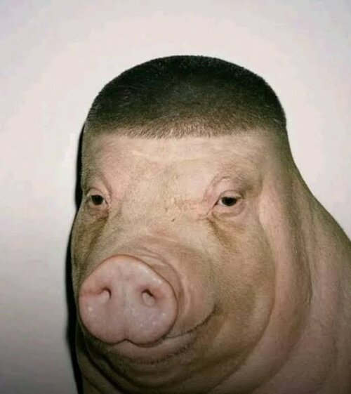 Wiggapork